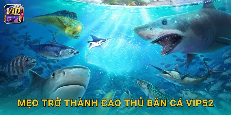 Mẹo trở thành cao thủ bắn cá Vip52
